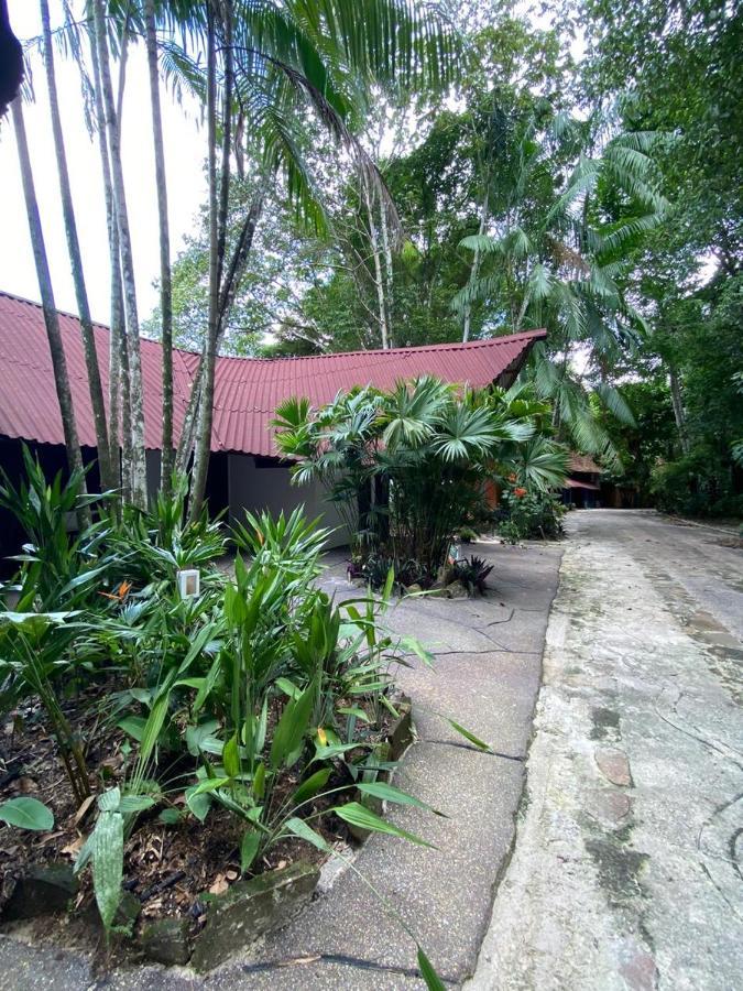 Reservamazon Forest Hotel Belem  Luaran gambar