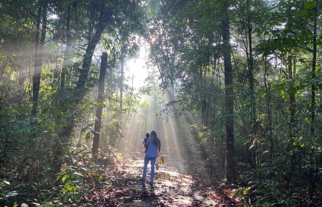 Reservamazon Forest Hotel Belem  Luaran gambar