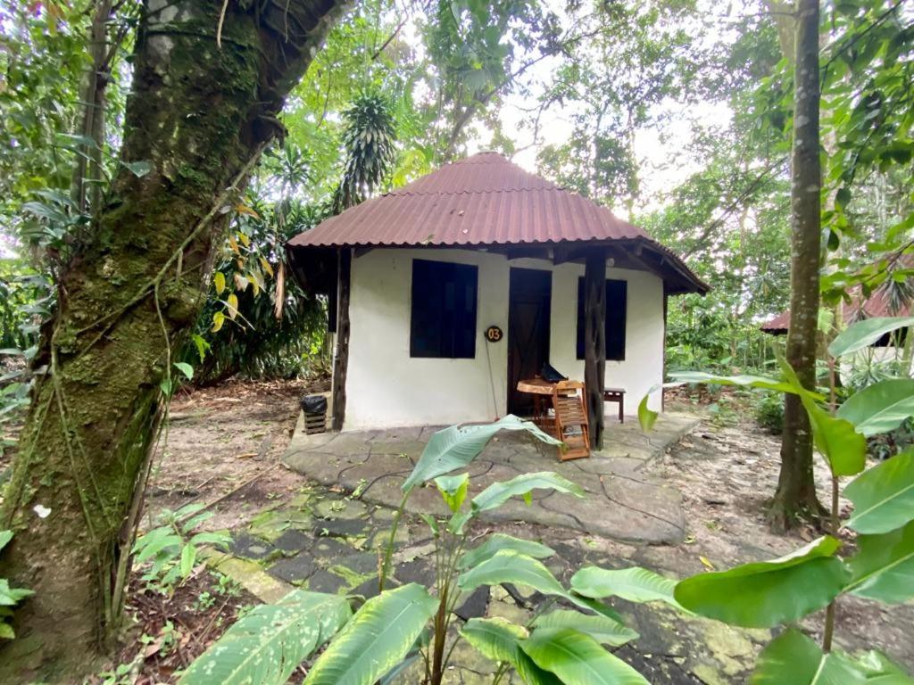 Reservamazon Forest Hotel Belem  Luaran gambar