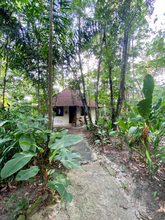 Reservamazon Forest Hotel Belem  Luaran gambar